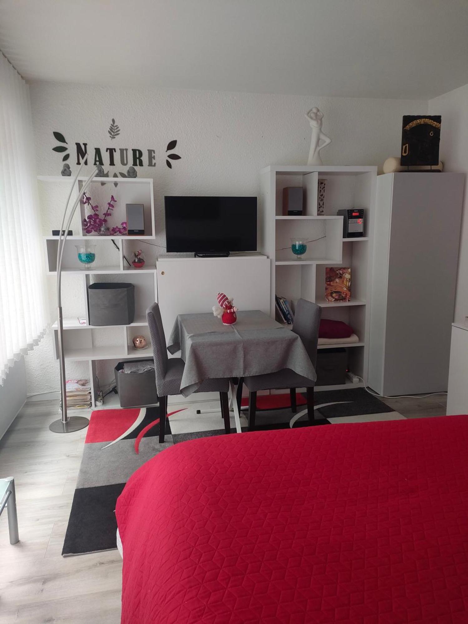 Appartamento Un Temps Pour Vous Ammerschwihr Esterno foto